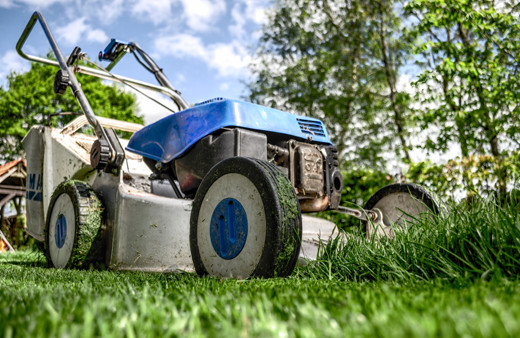 Projekty ogrodów, roboty ziemne, zakładanie trawników z roli na terenie Małopolski